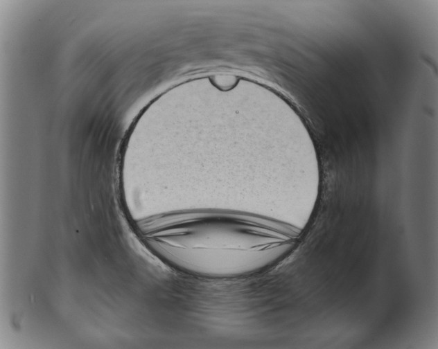 X0000100901518200807220939