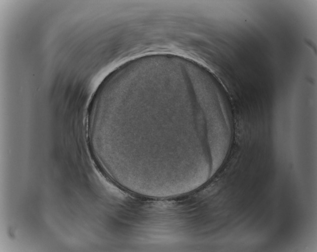 X0000100901519200807220939