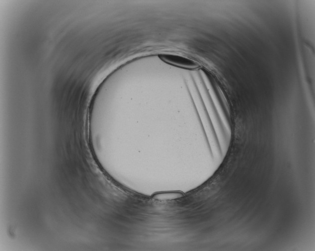 X0000100901520200807220939