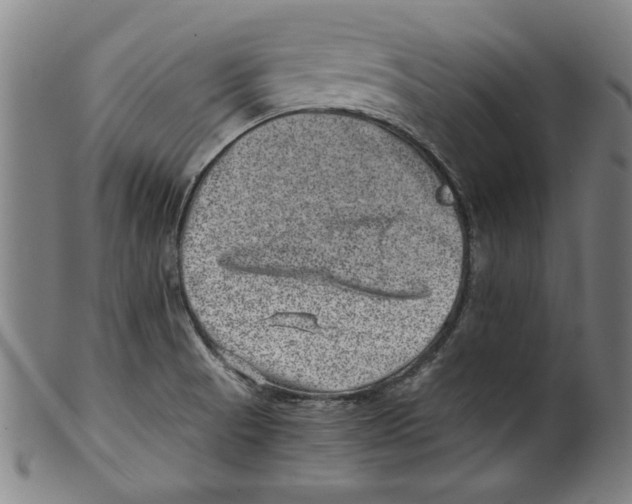 X0000100901521200807220939