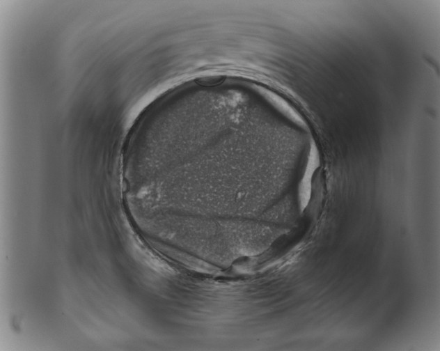 X0000100901522200807220939