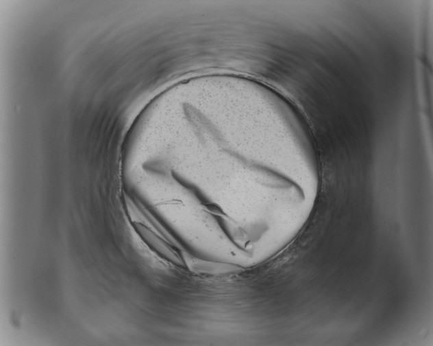 X0000100901524200807220939