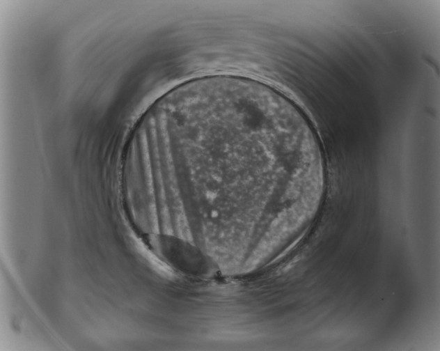 X0000100901525200807220939