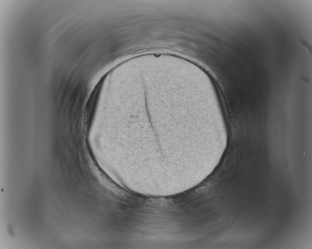 X0000100901526200807220939