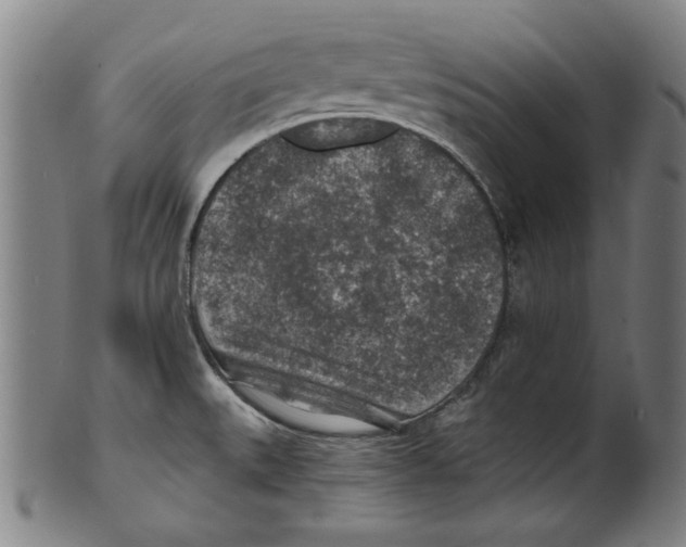 X0000100901527200807220939