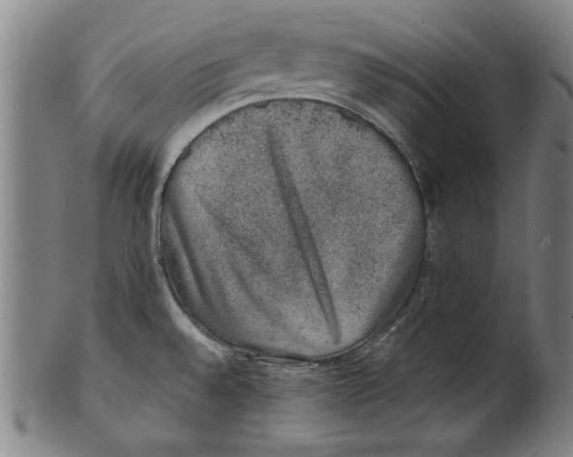 X0000100901528200807220939