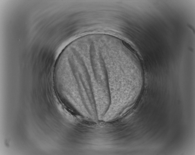 X0000100901530200807220939