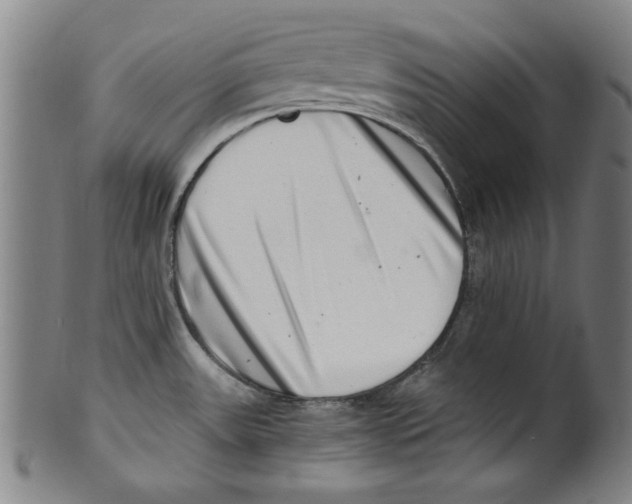 X0000100901531200807220939