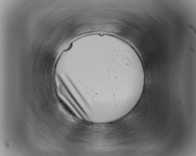 X0000100901532200807220939