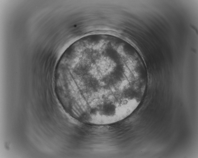 X0000100901533200807220939