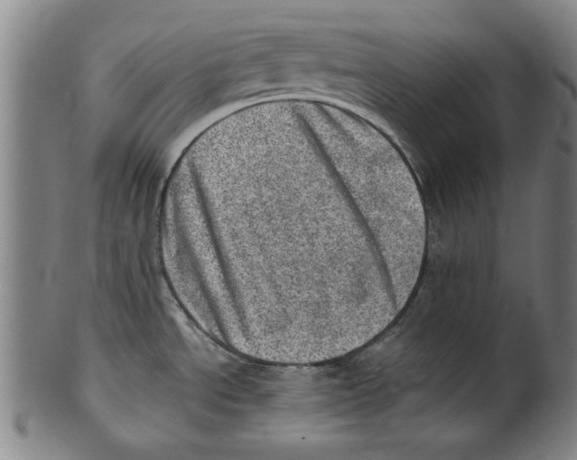 X0000100901534200807220939