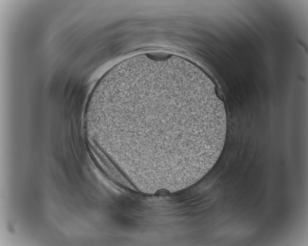 X0000100901535200807220939