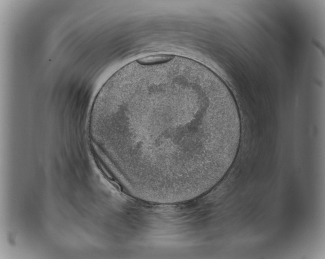 X0000100901536200807220939