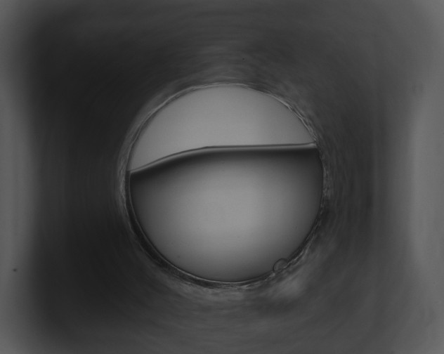 X0000100910004200806241100