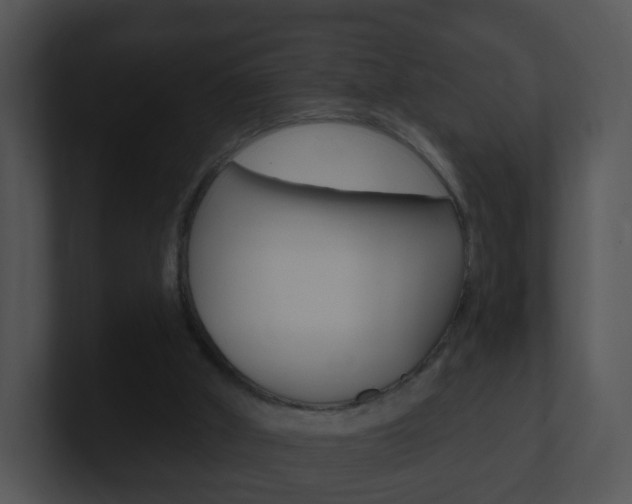 X0000100910010200806241100