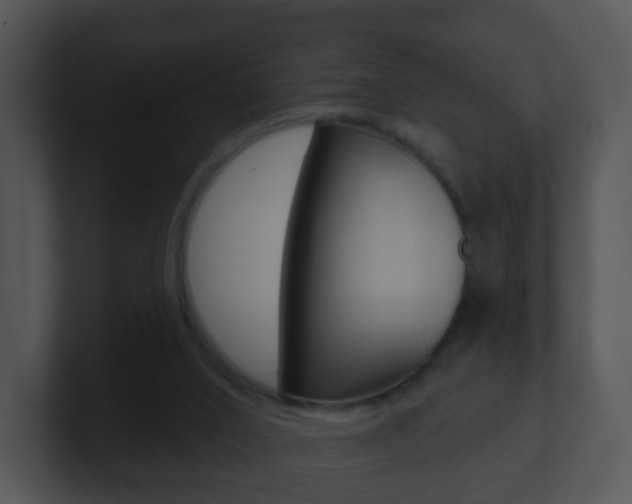 X0000100910016200806241100