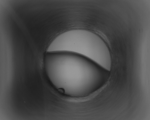 X0000100910017200806241100