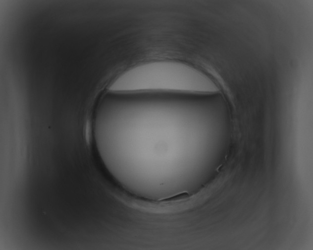 X0000100910019200806241100