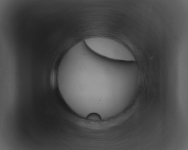 X0000100910022200806241100
