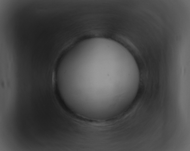 X0000100910024200806241100