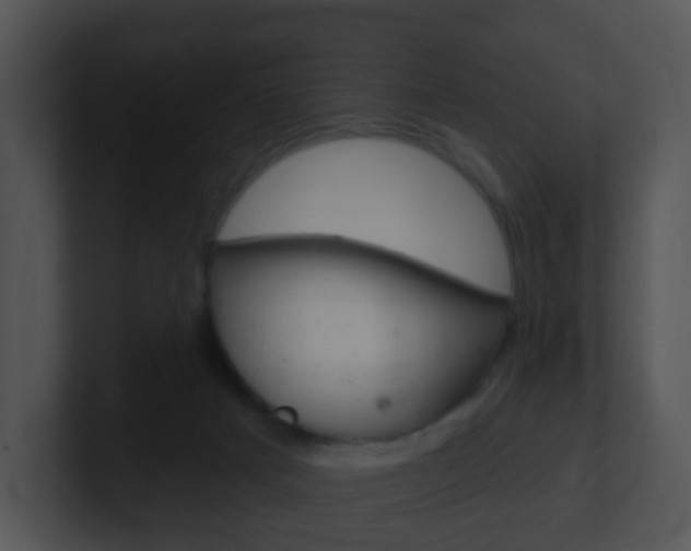 X0000100910025200806241100