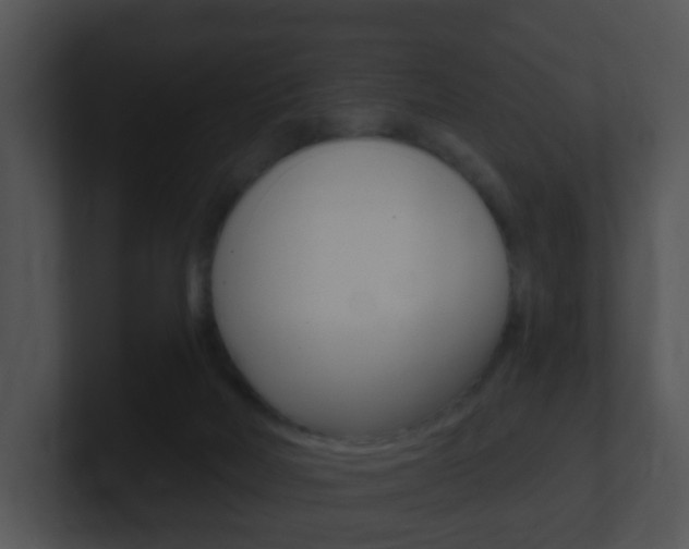 X0000100910026200806241100