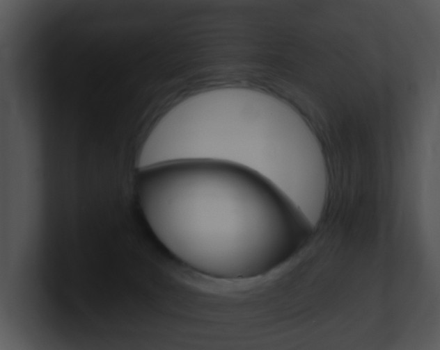 X0000100910035200806241100