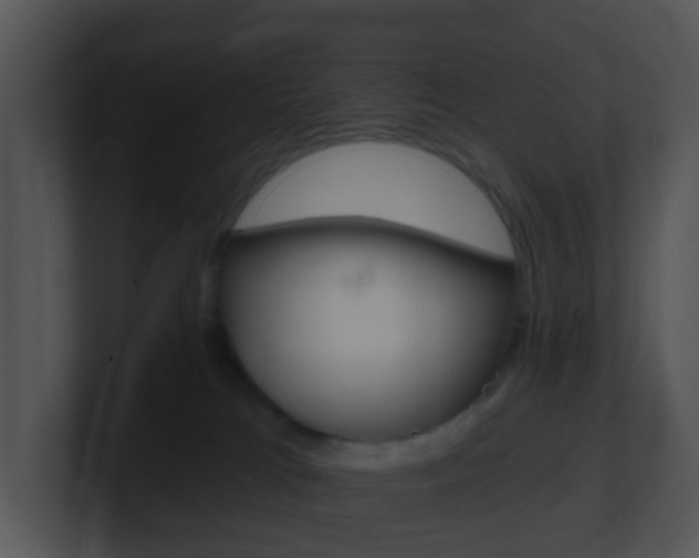 X0000100910037200806241100