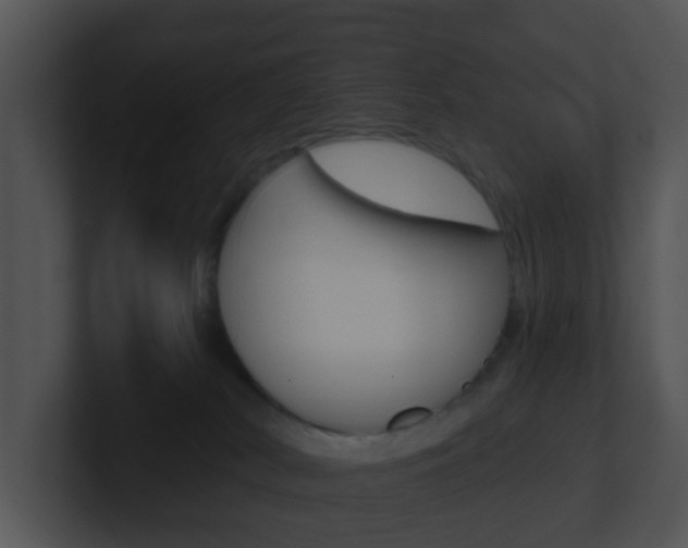 X0000100910038200806241100