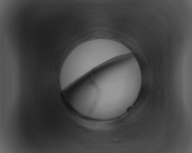 X0000100910040200806241100