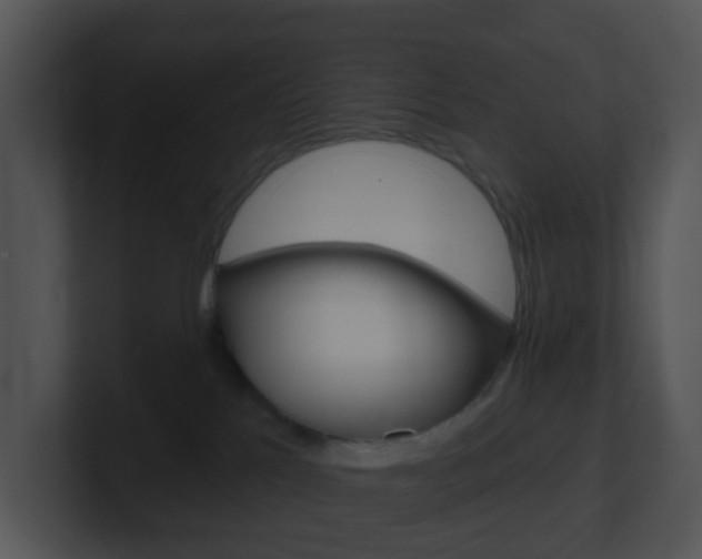 X0000100910041200806241100