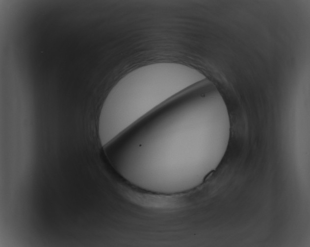 X0000100910044200806241100