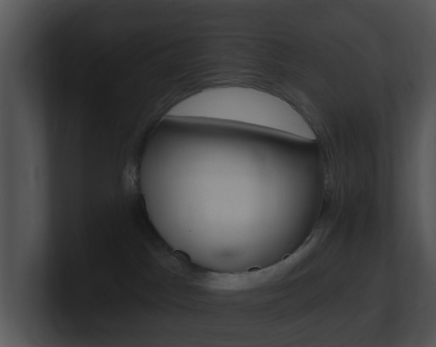 X0000100910045200806241100