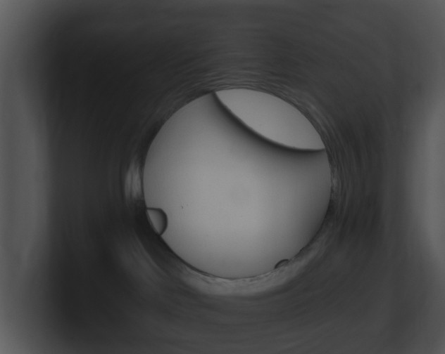 X0000100910046200806241100