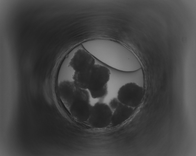 X0000100910049200806241059