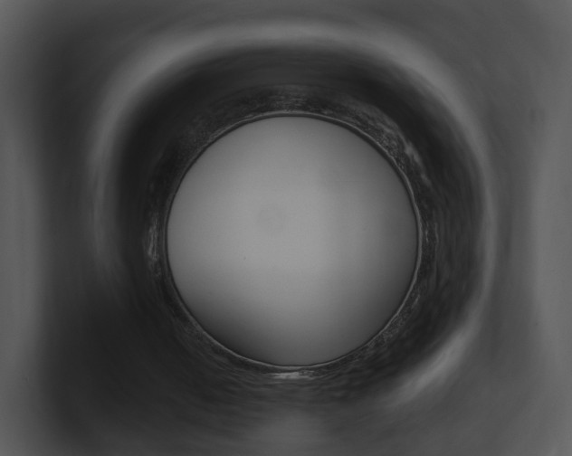 X0000100910050200806241059