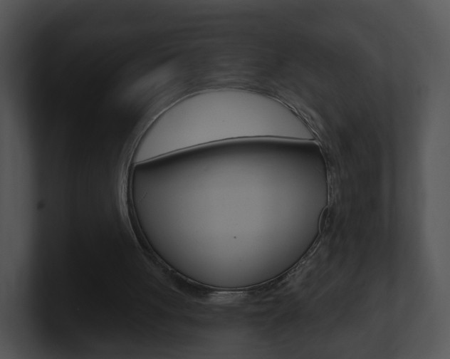 X0000100910051200806241059