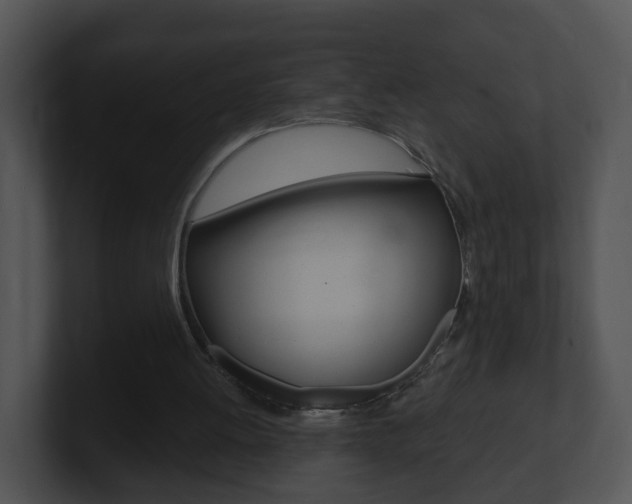 X0000100910052200806241059