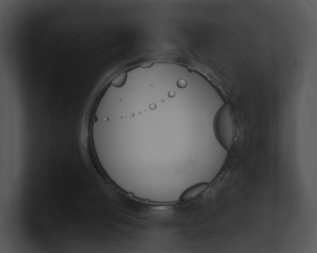 X0000100910053200806241059