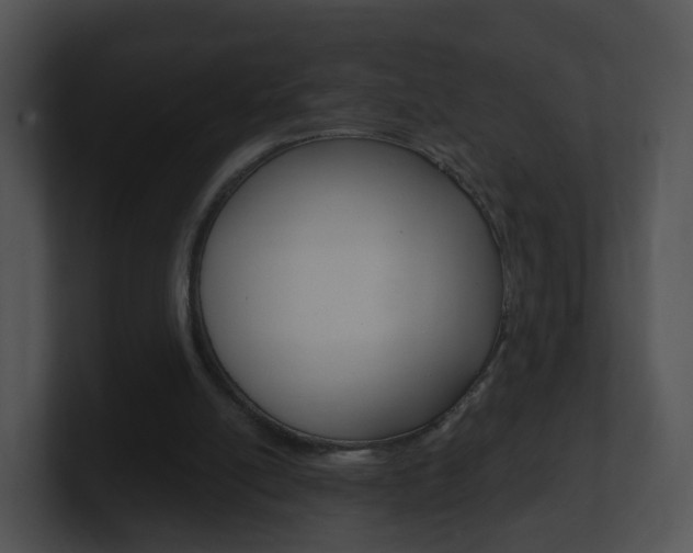 X0000100910054200806241059