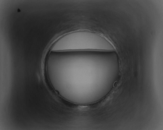 X0000100910055200806241059