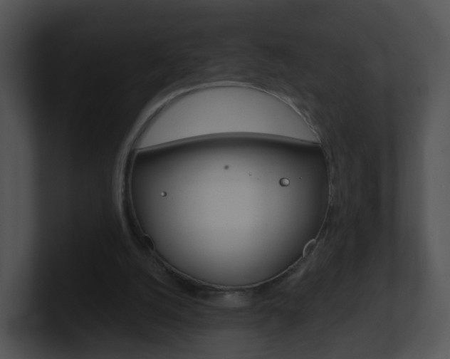 X0000100910056200806241059