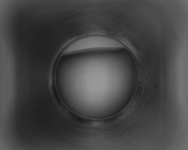 X0000100910060200806241059