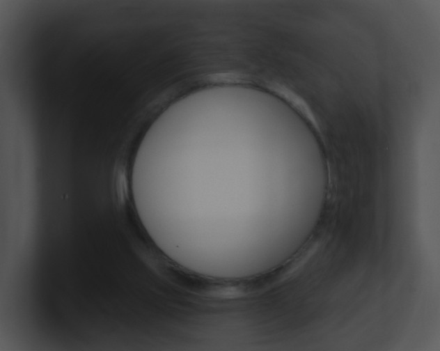 X0000100910061200806241059