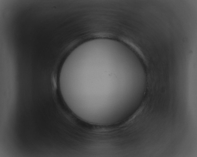 X0000100910062200806241059