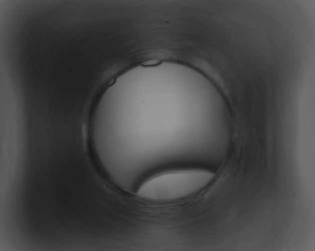 X0000100910063200806241059