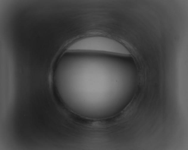 X0000100910064200806241059