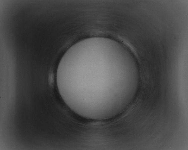 X0000100910067200806241059