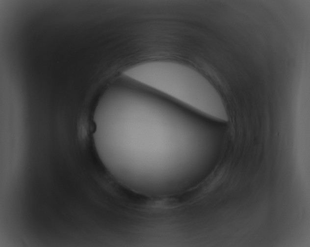 X0000100910072200806241059