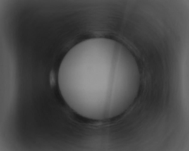 X0000100910075200806241059